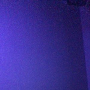 Meet your Posher, Maliek